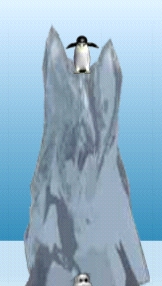 hari0063.jpg