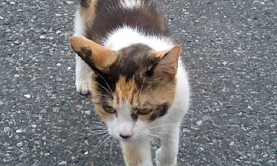 hari0243.jpg