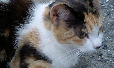 hari0245.jpg