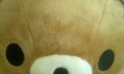 kuma001.jpg