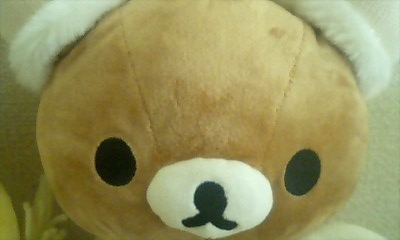 kuma002.jpg
