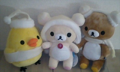 kuma010.jpg