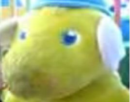 supu003.jpg